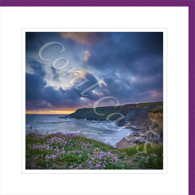 Cornish coast - Gavin Warland
