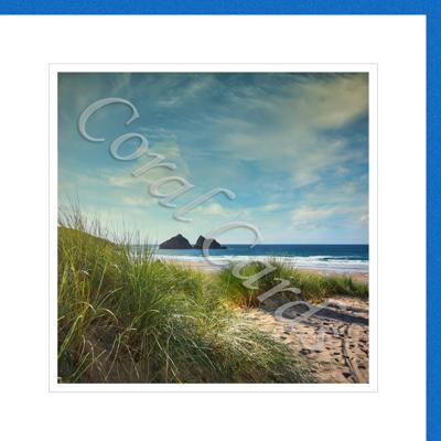 Beach grasses - Leandra Mallinson